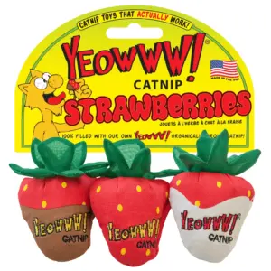 Yeowww! Strawberry 3-pack