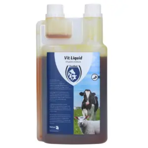 Excellent Vit Liquid Multivitamin 1 l