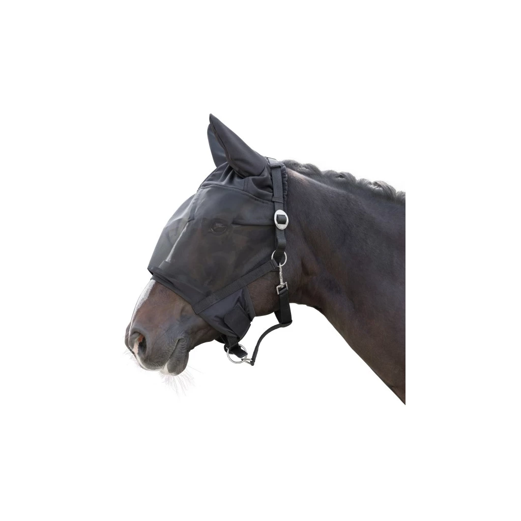 Halter with integrated fly mask Cob