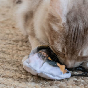 Wild Life Cat Bumblebee