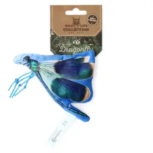 Wild Life Cat Dragonfly