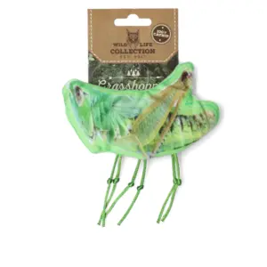 Wild Life Cat Grasshopper
