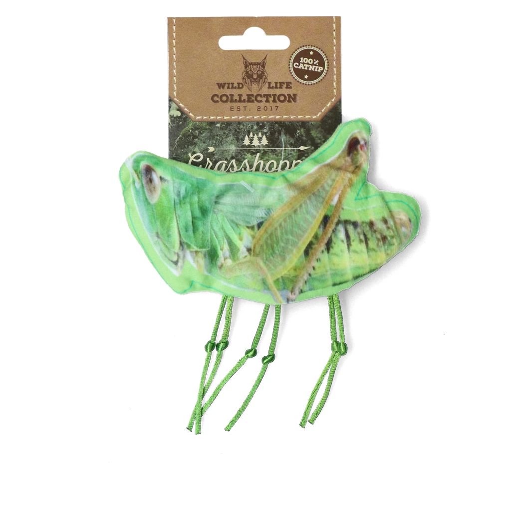 Wild Life Cat Grasshopper