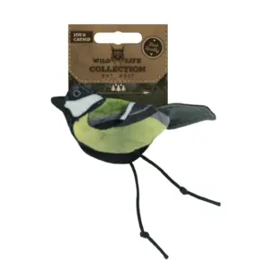 Wild Life Cat Great Tit