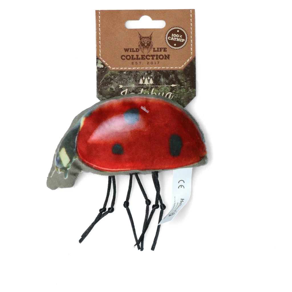 Wild Life Cat Ladybug