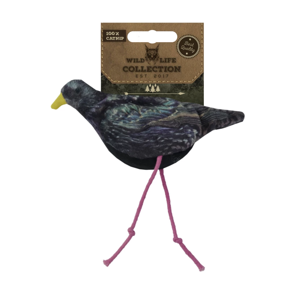 Wild Life Cat Starling