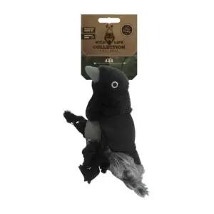 Wild Life Dog Raven
